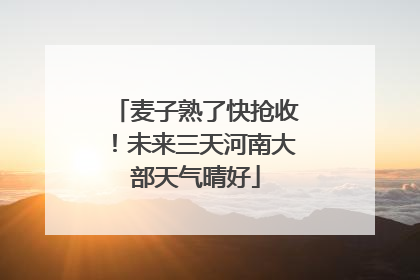 麦子熟了快抢收！未来三天河南大部天气晴好