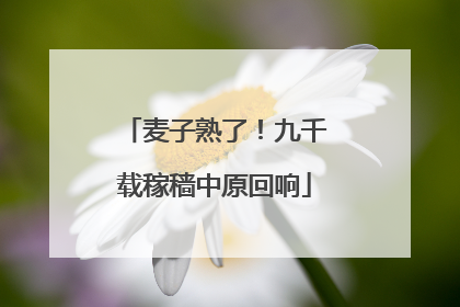 麦子熟了！九千载稼穑中原回响