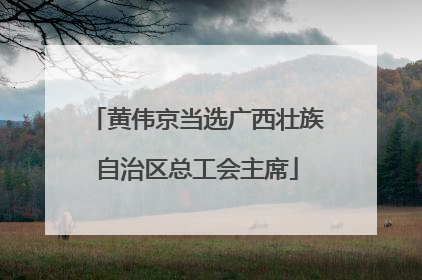 黄伟京当选广西壮族自治区总工会主席