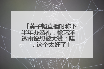 黄子韬直播时称下半年办婚礼，徐艺洋透露设想被大赞：哇，这个太好了