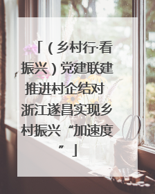 （乡村行·看振兴）党建联建推进村企结对 浙江遂昌实现乡村振兴“加速度”