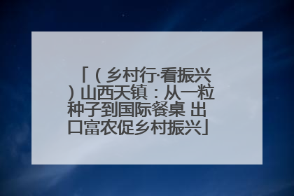 （乡村行·看振兴）山西天镇：从一粒种子到国际餐桌 出口富农促乡村振兴