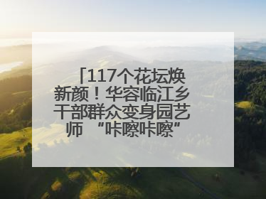 117个花坛焕新颜！华容临江乡干部群众变身园艺师 “咔嚓咔嚓”省下数万元