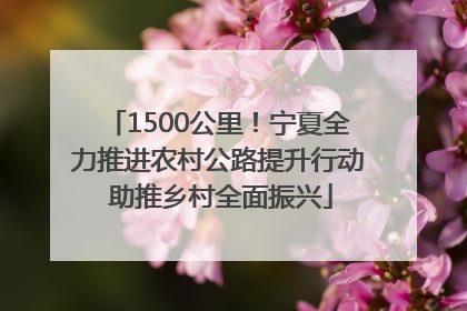 1500公里！宁夏全力推进农村公路提升行动 助推乡村全面振兴