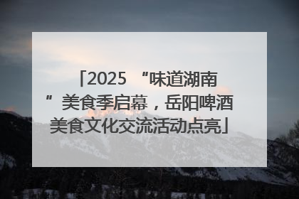 2025 “味道湖南”美食季启幕，岳阳啤酒美食文化交流活动点亮