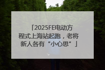 2025FE电动方程式上海站起跑，老将新人各有“小心思”