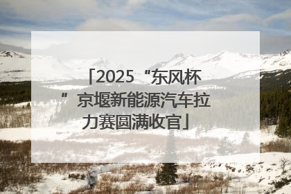 2025“东风杯”京堰新能源汽车拉力赛圆满收官