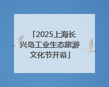 2025上海长兴岛工业生态旅游文化节开幕