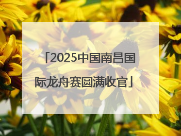 2025中国南昌国际龙舟赛圆满收官