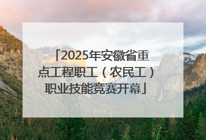 2025年安徽省重点工程职工（农民工）职业技能竞赛开幕
