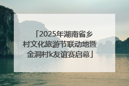 2025年湖南省乡村文化旅游节联动地暨金洞村k友谊赛启幕