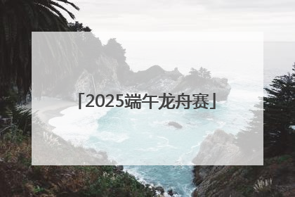 2025端午龙舟赛