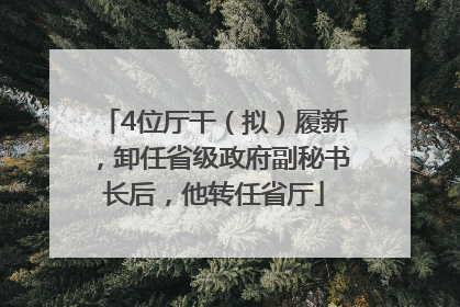 4位厅干（拟）履新，卸任省级政府副秘书长后，他转任省厅