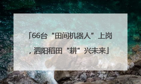 66台“田间机器人”上岗，泗阳稻田“耕”兴未来