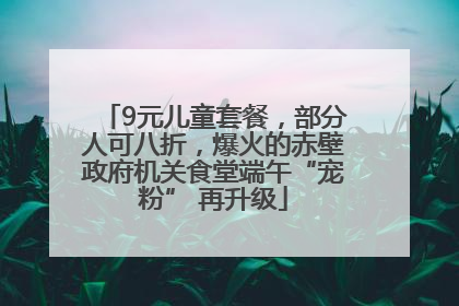 9元儿童套餐，部分人可八折，爆火的赤壁政府机关食堂端午“宠粉” 再升级