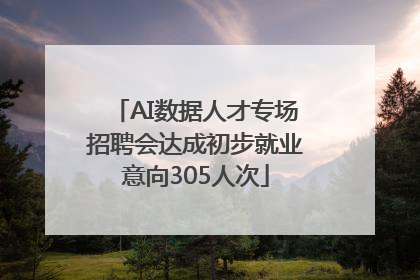 AI数据人才专场招聘会达成初步就业意向305人次