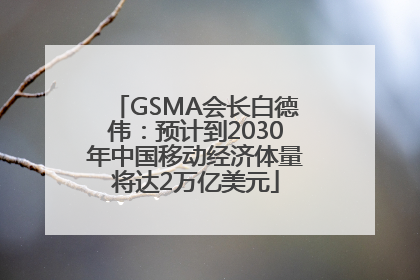 GSMA会长白德伟：预计到2030年中国移动经济体量将达2万亿美元