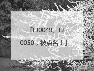 FJ0049、FJ0050，被点名！