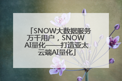 SNOW大数据服务万千用户，SNOW AI量化——打造亚太云端AI量化