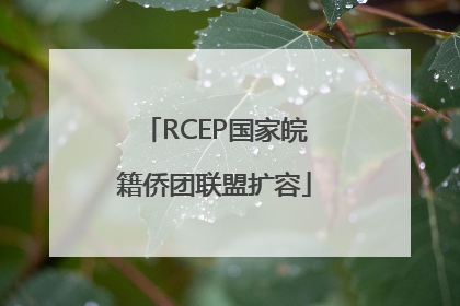 RCEP国家皖籍侨团联盟扩容